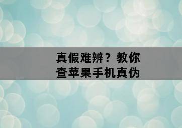 真假难辨?教你查苹果手机真伪 真假难辨?教你查苹果手机真伪-图片1